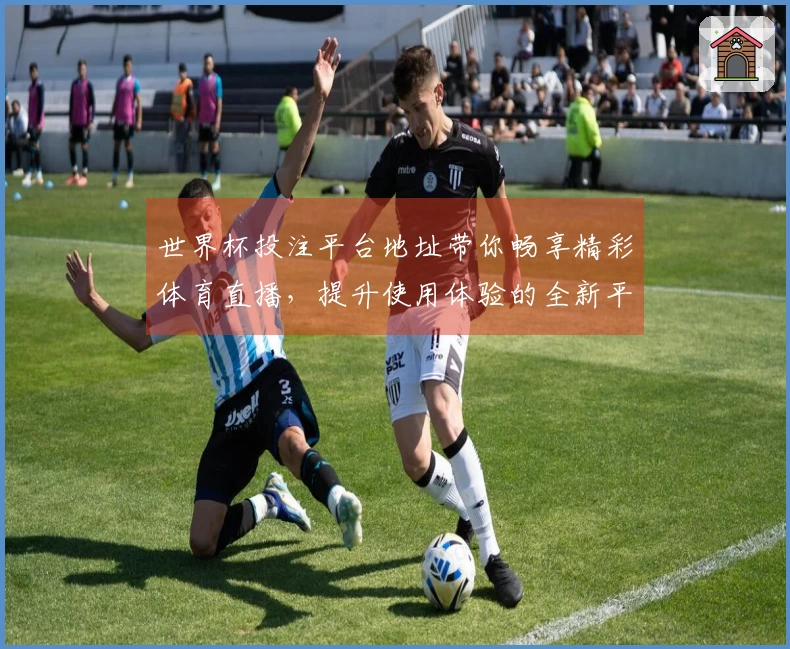 世界杯投注平台地址带你畅享精彩体育直播，提升使用体验的全新平台动态