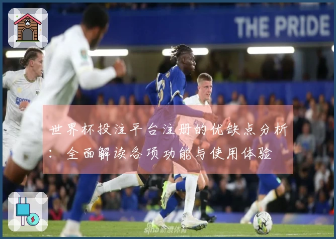 世界杯投注平台注册的优缺点分析：全面解读各项功能与使用体验