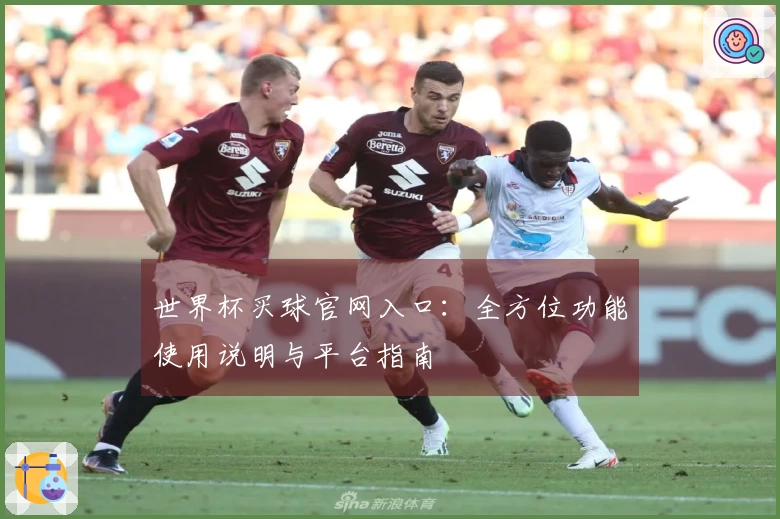 世界杯买球官网入口：全方位功能使用说明与平台指南
