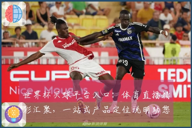 世界杯买球平台入口：体育直播精彩汇聚，一站式产品定位说明助您畅享观赛体验