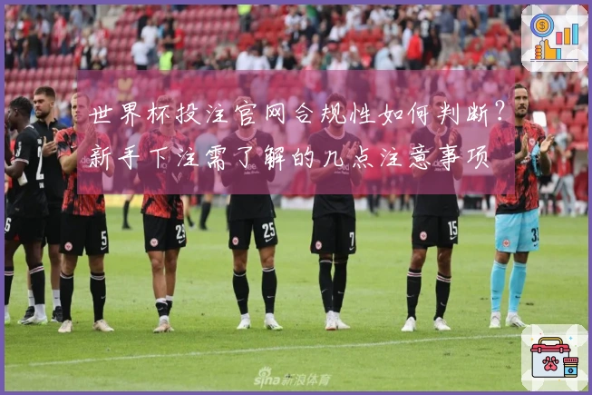 世界杯投注官网合规性如何判断？新手下注需了解的几点注意事项