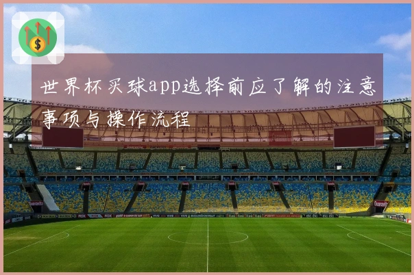 世界杯买球app选择前应了解的注意事项与操作流程