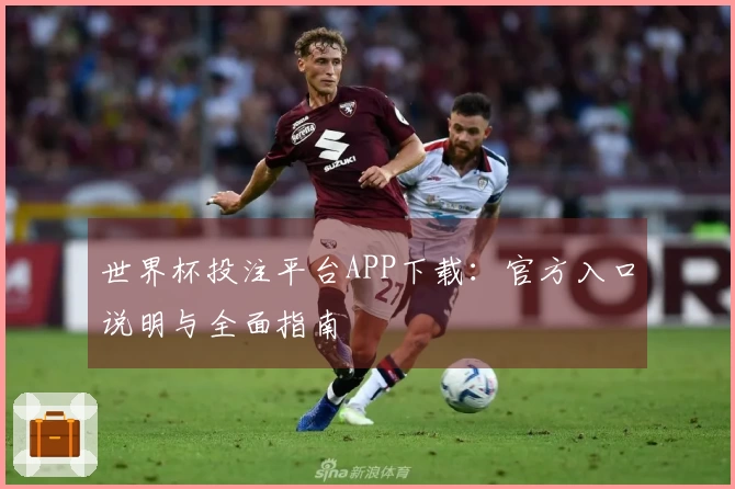 世界杯投注平台APP下载：官方入口说明与全面指南